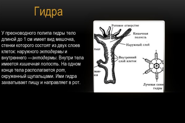 Кракен ты знаешь где покупать