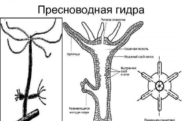 Кракена net